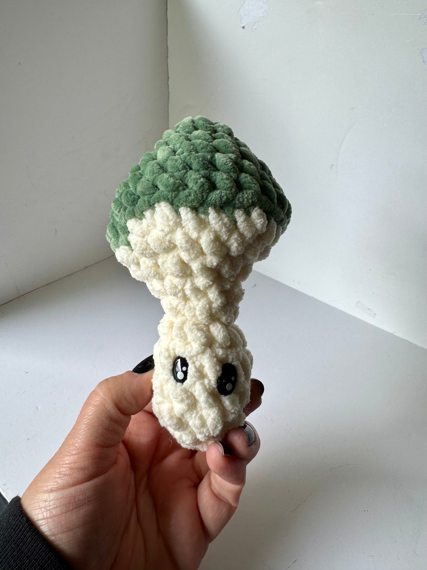 Poppin’ mushroom