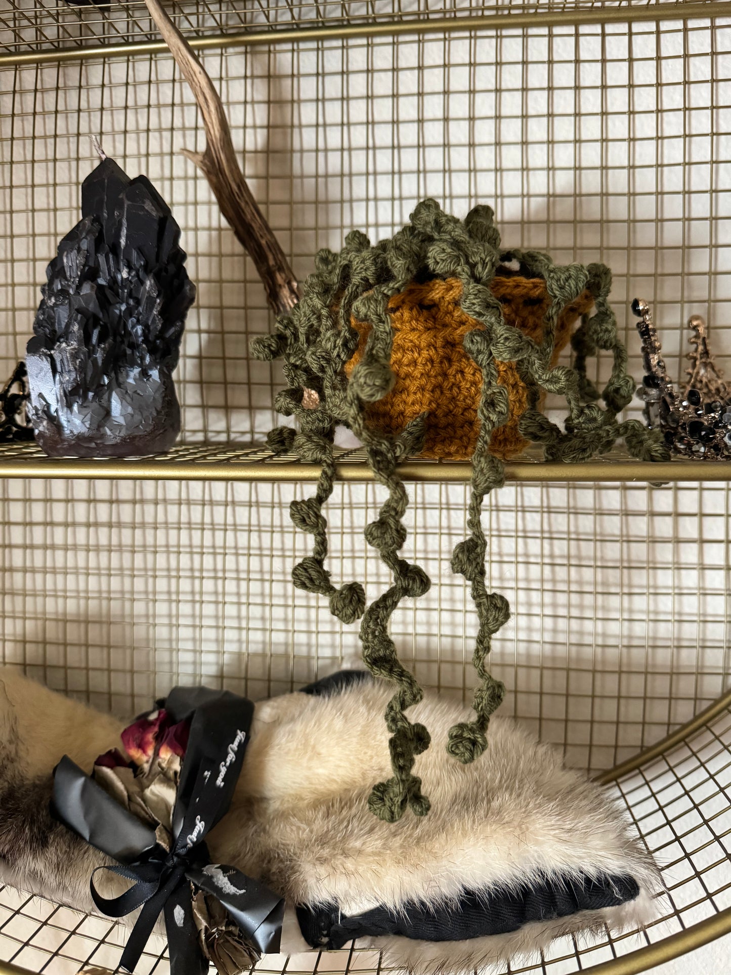 String of Pearls (small)