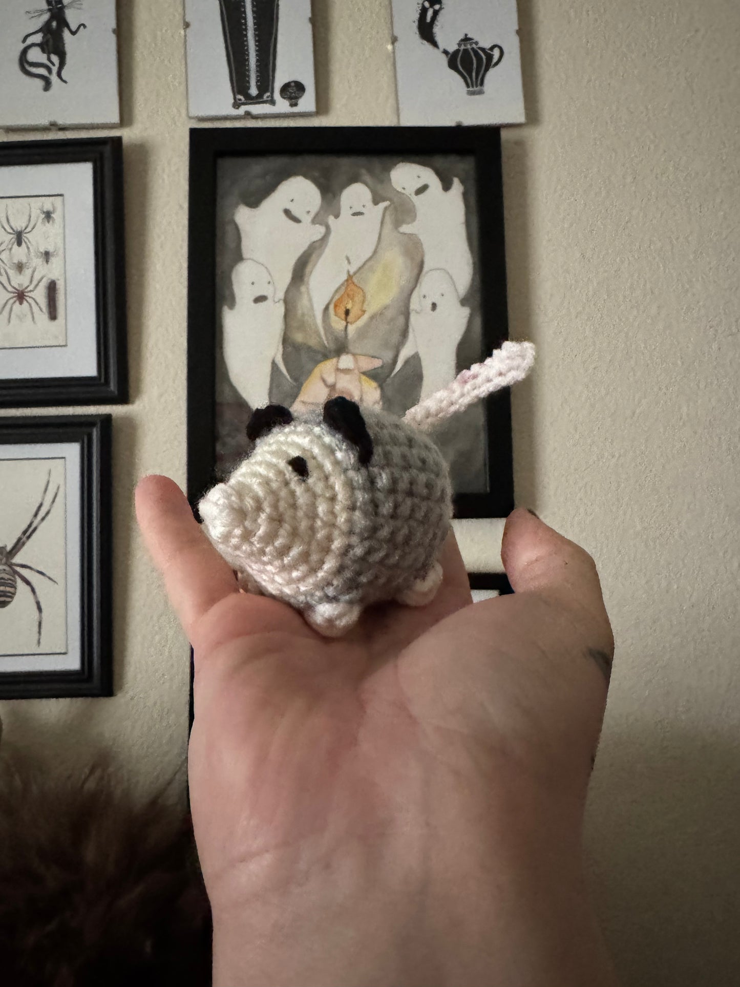 Pocket Opossum