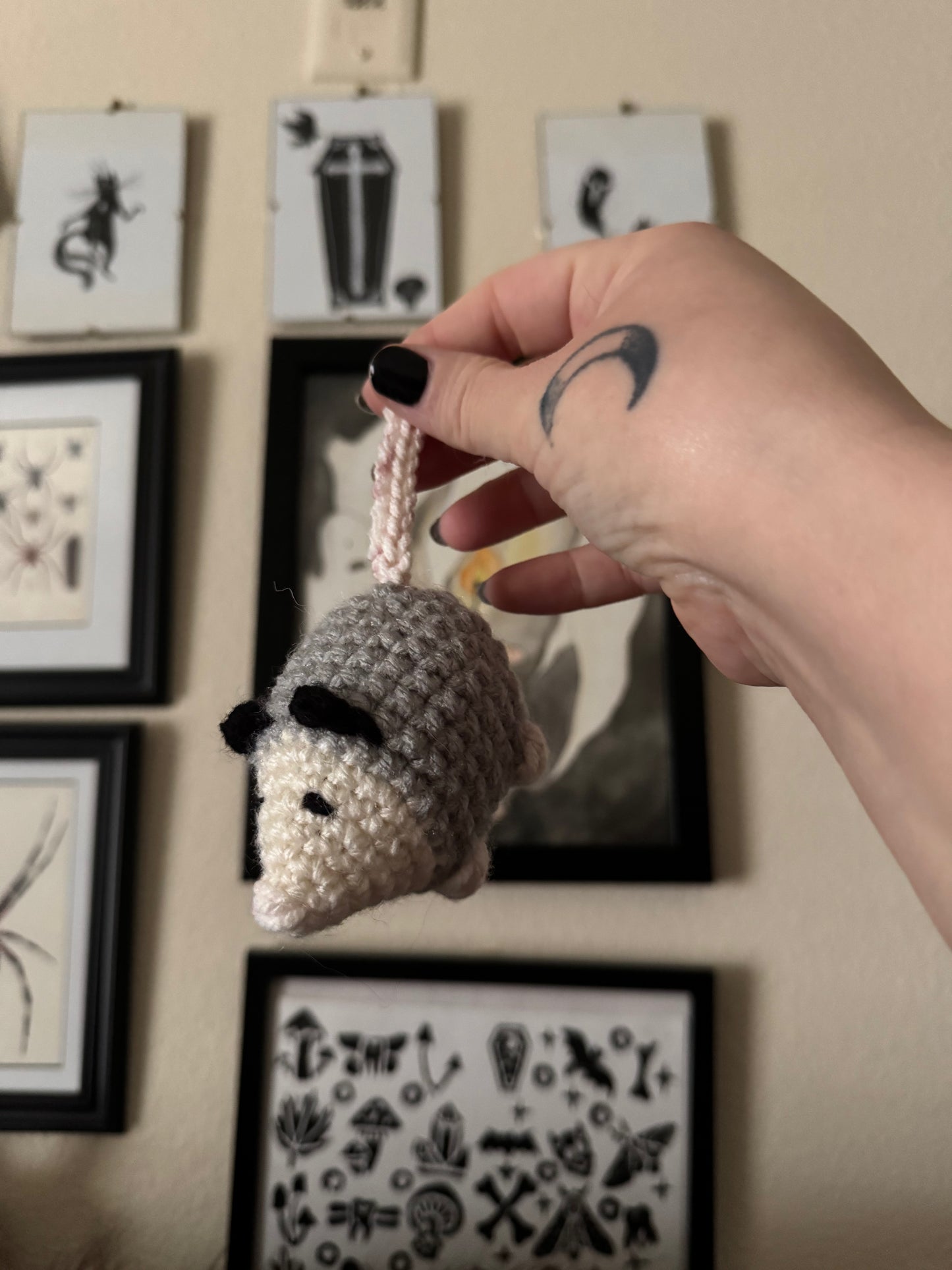 Pocket Opossum